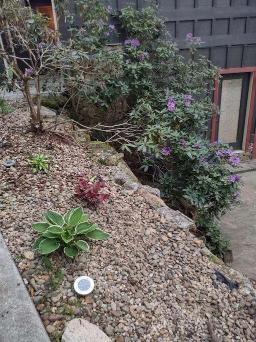 Ridge Runner Retreat Villa Glenville Ngoại thất bức ảnh
